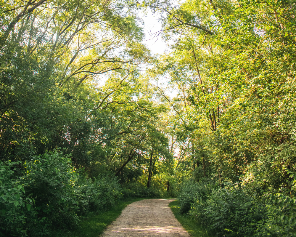 summer homeschooling while taking a hike with your family